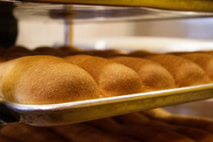 Oven Baked Bread | Planet Sub | Gourmet Sandwich Shop